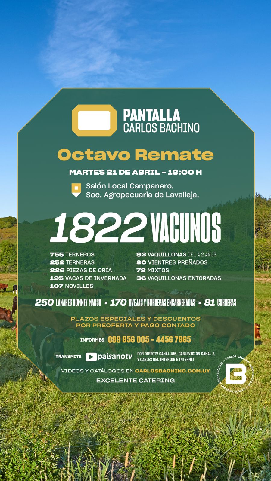 Octava Pantalla CARLOS BACHINO